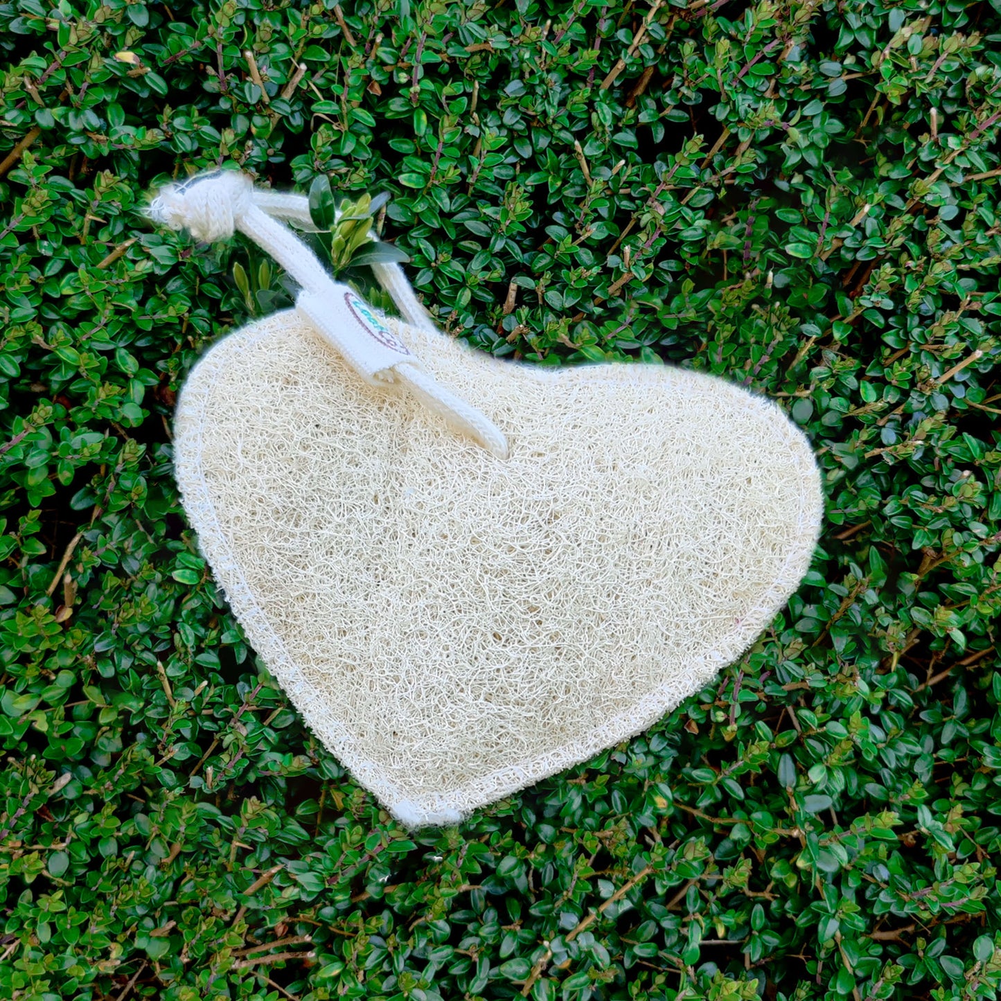 Bath-Time Heart Loofah